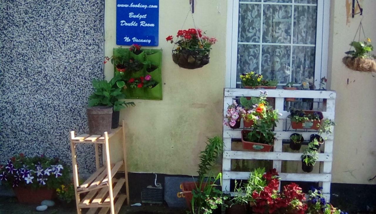 City Cottage Guest House Plymouth Ngoại thất bức ảnh